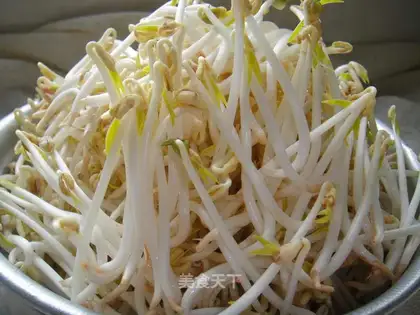 Homemade mung bean sprouts