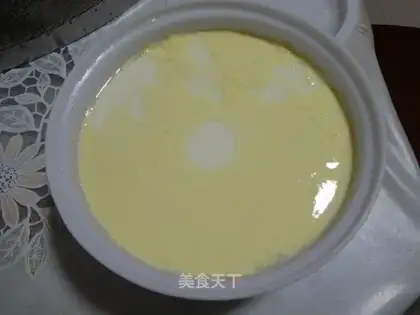 homemade yogurt