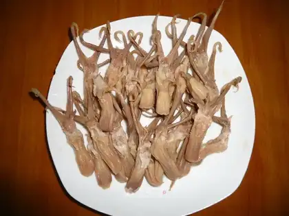rotten duck tongue