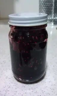 mulberry paste