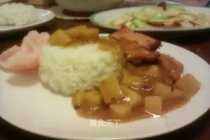 Japanese curry pork chop rice