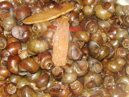 stir-fried screws