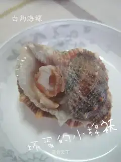 white-burnt conch