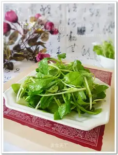 Cold radish seedlings