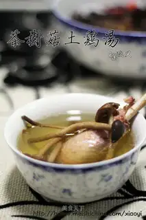 Tea tree mushroom chicken soup