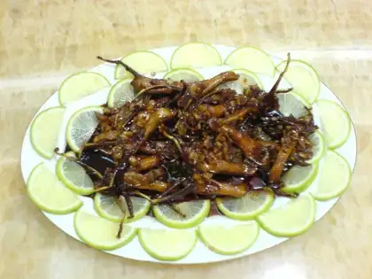 Zixiang Duck Tongue