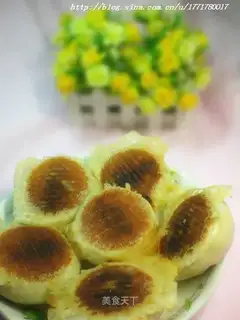 Pan-fried buns with fresh coriander meat