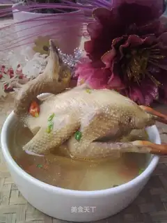 Clear stewed pigeon soup