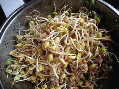 Spontaneous yellow bean sprouts