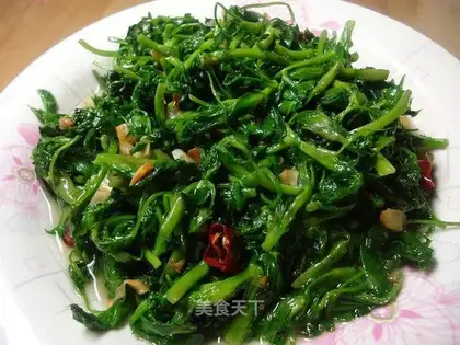 Sauce alfalfa with garlic