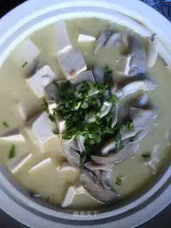 Tofu, mushroom and crucian carp soup