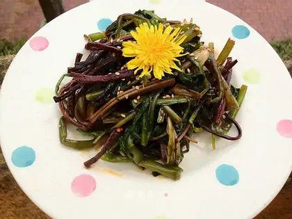 Dandelions mixed with fern
