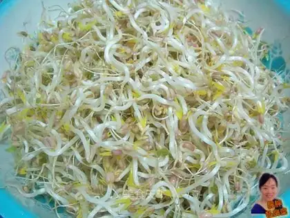 Soak mung bean sprouts