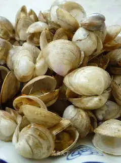 stir-fried clams with spicy sauce