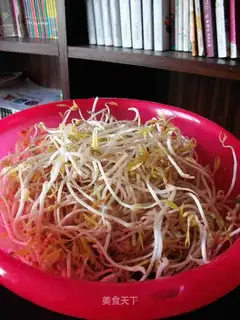 Hair growing mung bean sprouts