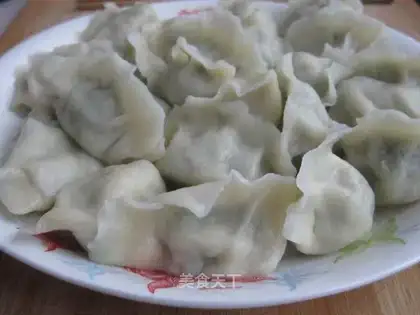 Dumplings stuffed with willow sprouts and pork