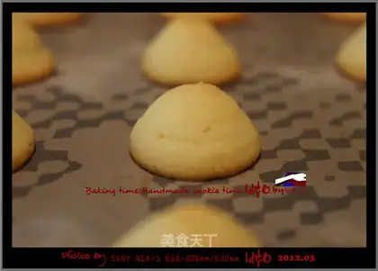 Coconut cheese soft biscuits