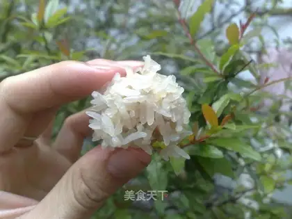 Glutinous rice balls