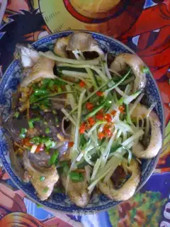 Kaiping tilapia