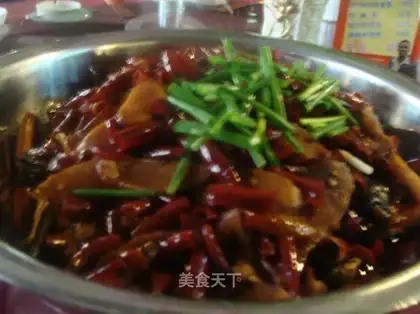 Ginger-spicy snake