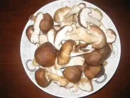 Make Stewed chicken fin with mushroom step 1