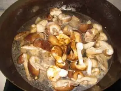 Make Stewed chicken fin with mushroom step 6