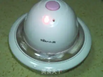 Make vanilla ice cream step 11