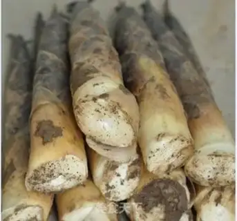 Make Bamboo shoots chicken soup step 0