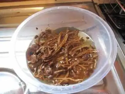 Make Braised chicken with tea tree mushroom step 0