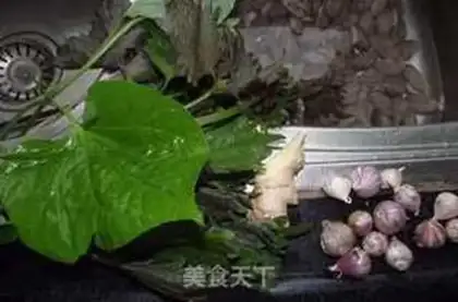 Make stir-fried snails with perilla and false beans step 1