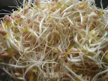 Make mung bean sprouts step 6