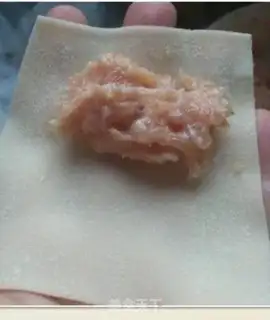 Make Pure meat wonton step 3