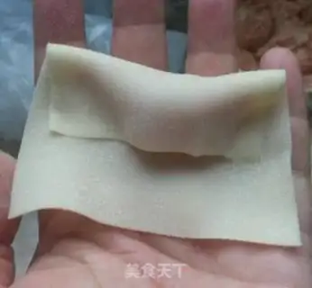 Make Pure meat wonton step 4