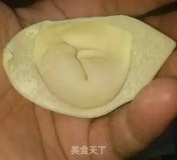 Make Pure meat wonton step 5
