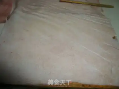 Make Synopsis chinensis step 2