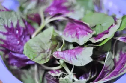Make Serve with amaranth in soup step 0