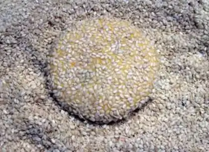 Make Sesame quicksand pumpkin cake step 15