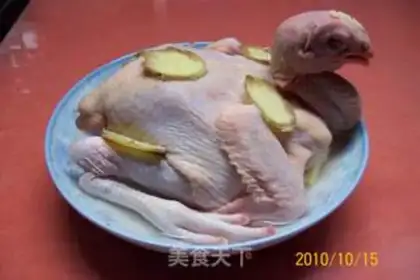 Make The golden rooster reports good news about a bumper harvest step 14