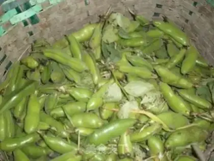 Make onion fragrant broad bean step 0