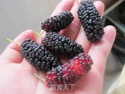 Make Mulberry yogurt drink step 1