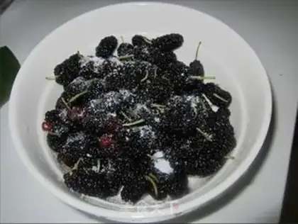 Make Mulberry yogurt drink step 2