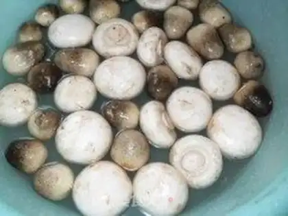 Make Fried pork slices with double mushrooms step 0