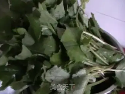 Make Wild vegetable steamed buns step 2