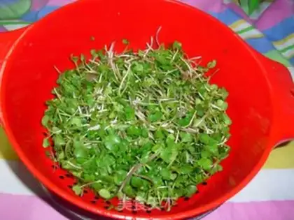 Make Delicious and fragrant radish seedlings step 1