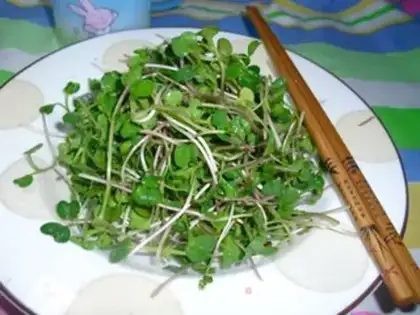 Make Delicious and fragrant radish seedlings step 4