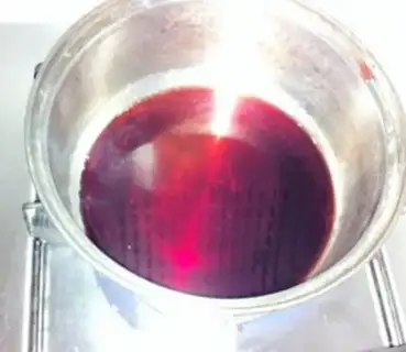 Make Roasted wings in red wine with lemon honey step 1