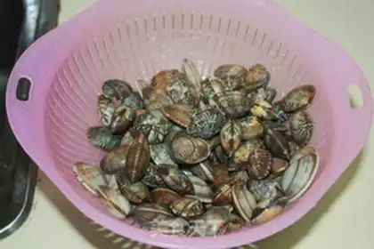 Make Hot clams step 0