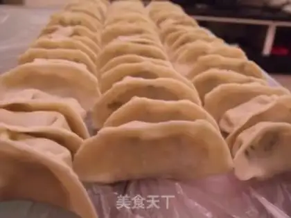 Make Vegetarian dumplings step 7
