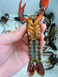 Make Finger sucking crayfish step 6