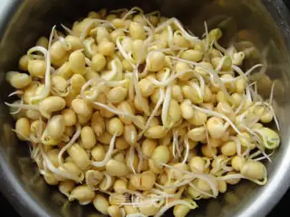 Make Home-made soybean sprouts step 5